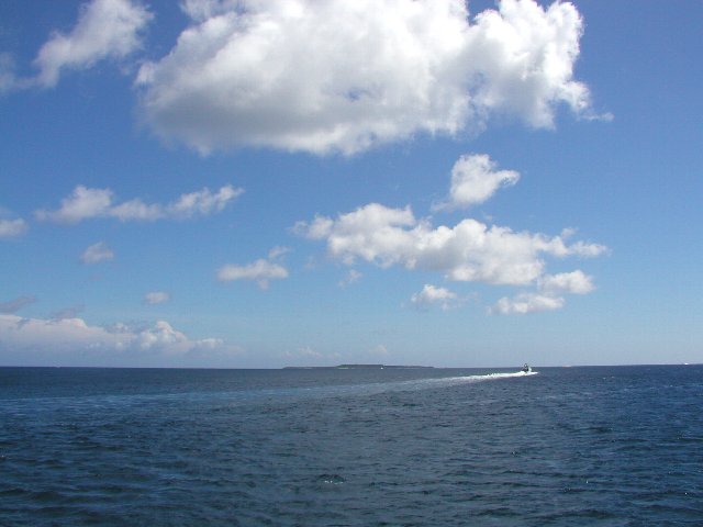 �o���X����蔵�ԓ���]��