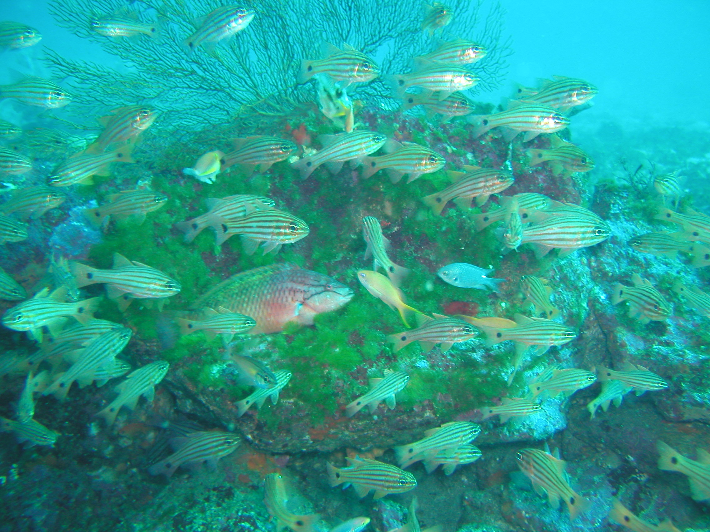 ���ɓ��E�x�˂̊C�̎ʐ^