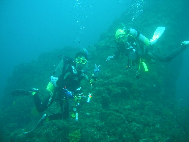 ���ɓ��E�c�q�E�_�C�o�[�V�j��