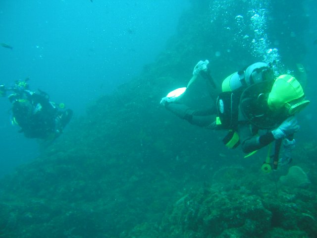 ���ɓ��E�c�q�E�_�C�o�[�V�j��