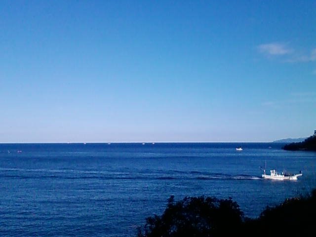 ���ɓ��x�˂̊C�E���i