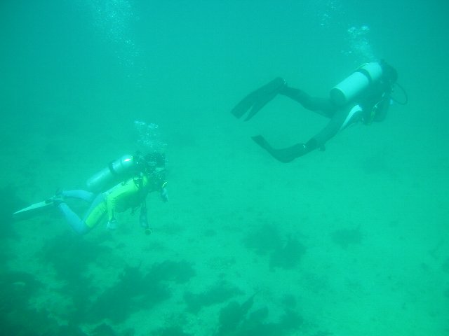 �x�˂̊C�E�_�C�o�[