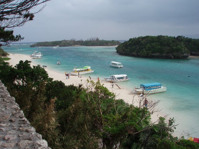 �Ί_���E�약�p�̕��i