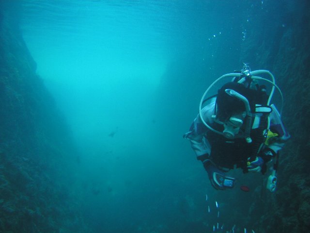 ���ɓ��E�����̊C�E���A