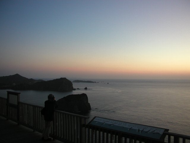 ���}���E�G�U�[�X�e�[�V��������̗[�i