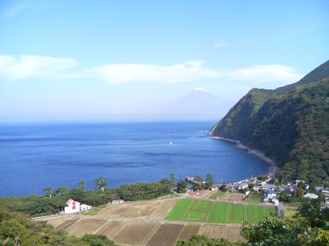 ���ɓ��E��c�E���i�ɕx�m