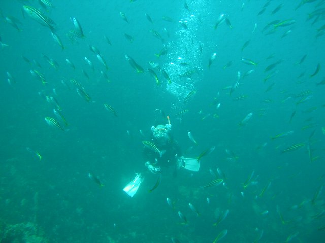 ���ɓ��E��c�̊C�E�����V�j