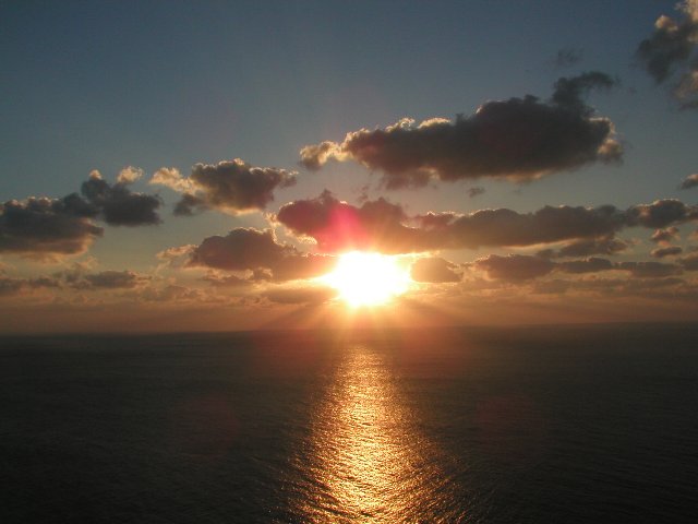 ���}���E�F�U�[�X�e�[�V��������̗[��