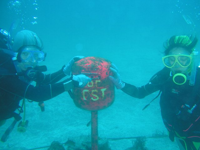 �ɓ��C�m�����̊C�E�����|�X�g