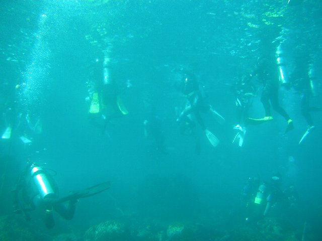 �ɓ��C�m�����̊C�E�G���g���[��