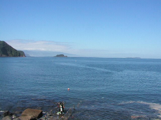 ���ɓ��E��ނ̉��i