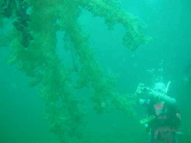 ���ɓ��E�吣��̊C�E�E�~�g�T�J