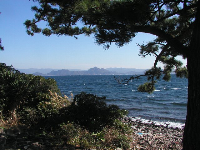 ���ɓ��E�吣��E���̕��i