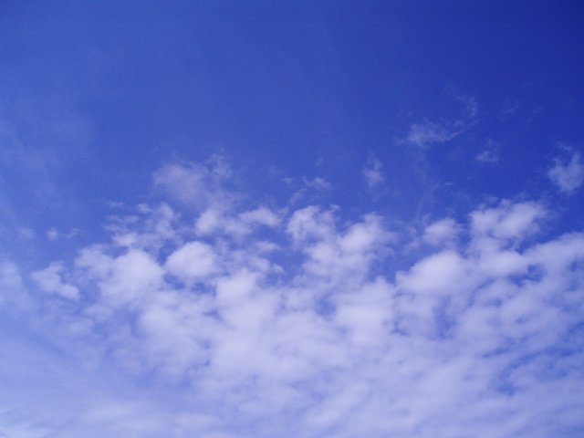 �Ί_���E��̎ʐ^