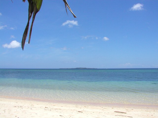 ���\���E���l�̕��i