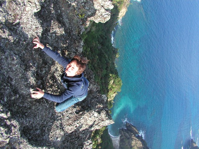 ���}���̓W�]�䂩��̕��i