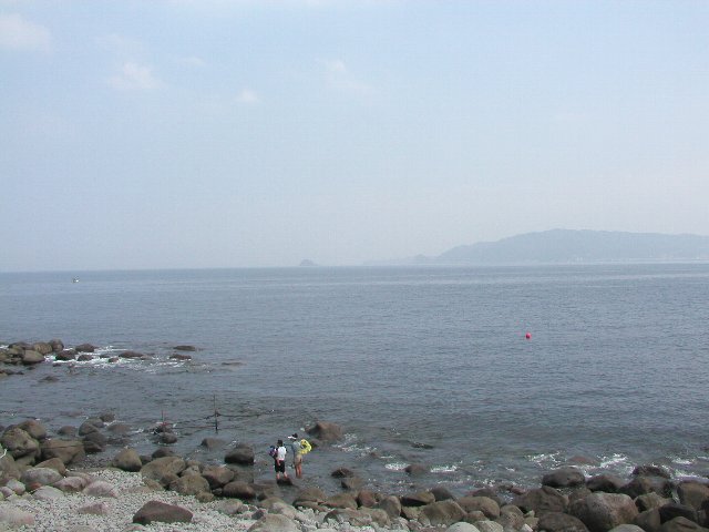 ���ɓ��E�F�����E�|�C���g�Q�̉��i