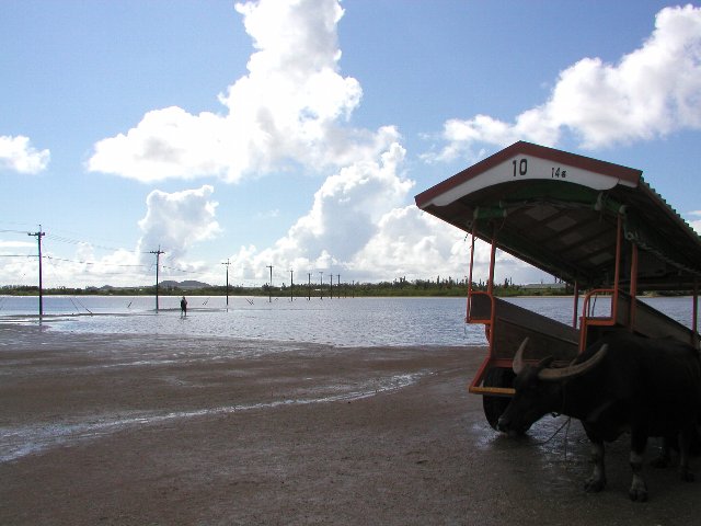 ���\�R�z���̋���