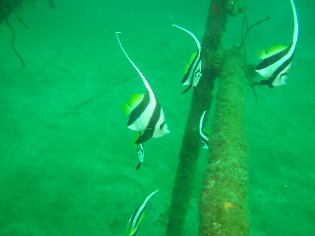 ���ɓ��E�F�����E�����n�^�^�e�_�C