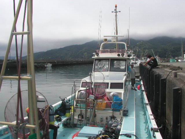 ���ɓ��E�F�����E�{�[�g�̗l�q