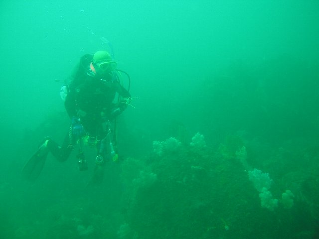 ���ɓ��E�F�����E�_�C�o�[�V�j��